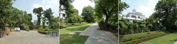 1-P1010749