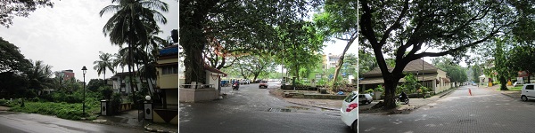 4IMG_1820
