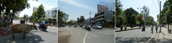 P1010578